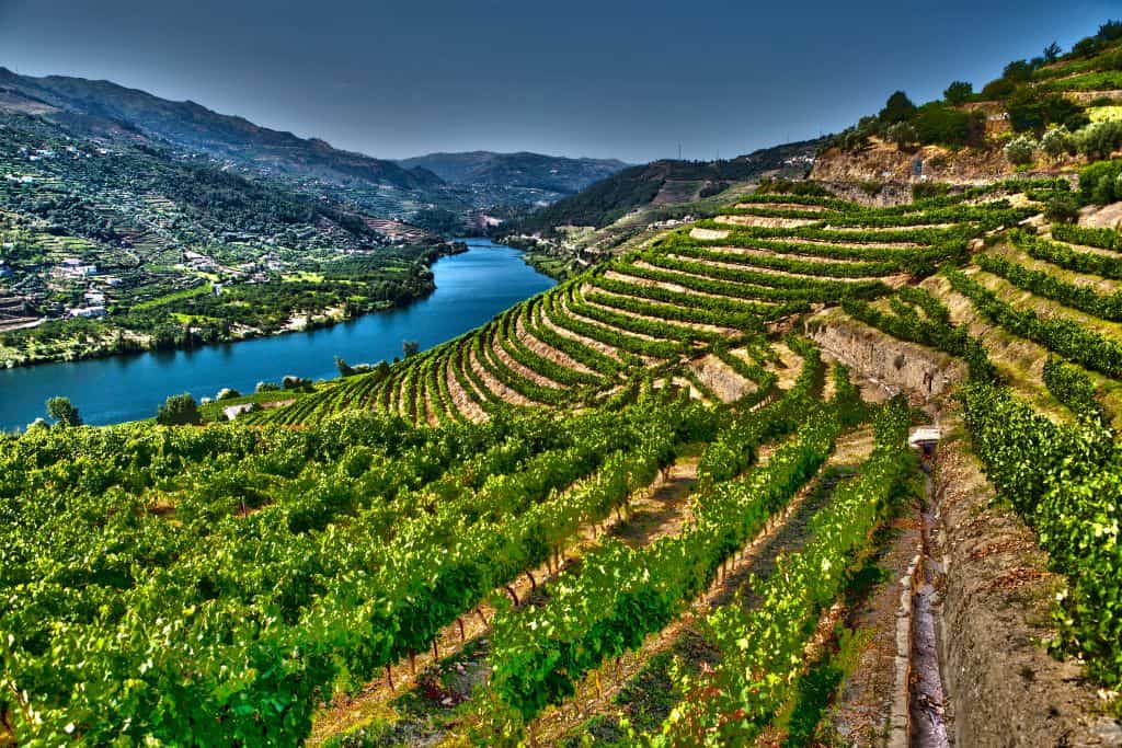 Douro River Valley