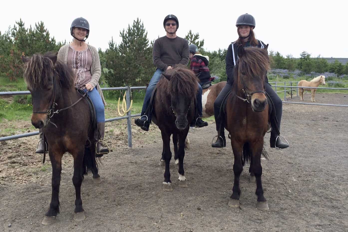 Riding Icelandic horses in Iceland