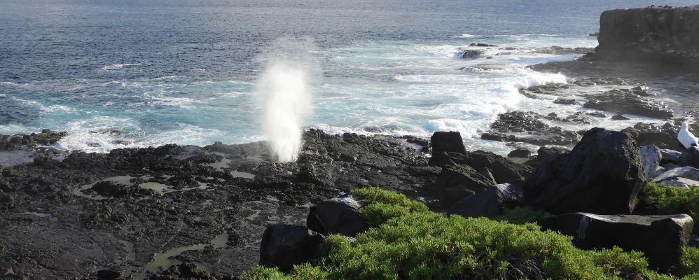 Galápagos Islands, Ecuador