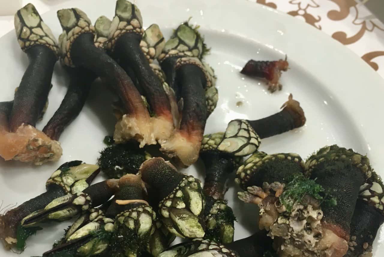 adventurous eating - gooseneck barnacles at Ramiro in Lisbon