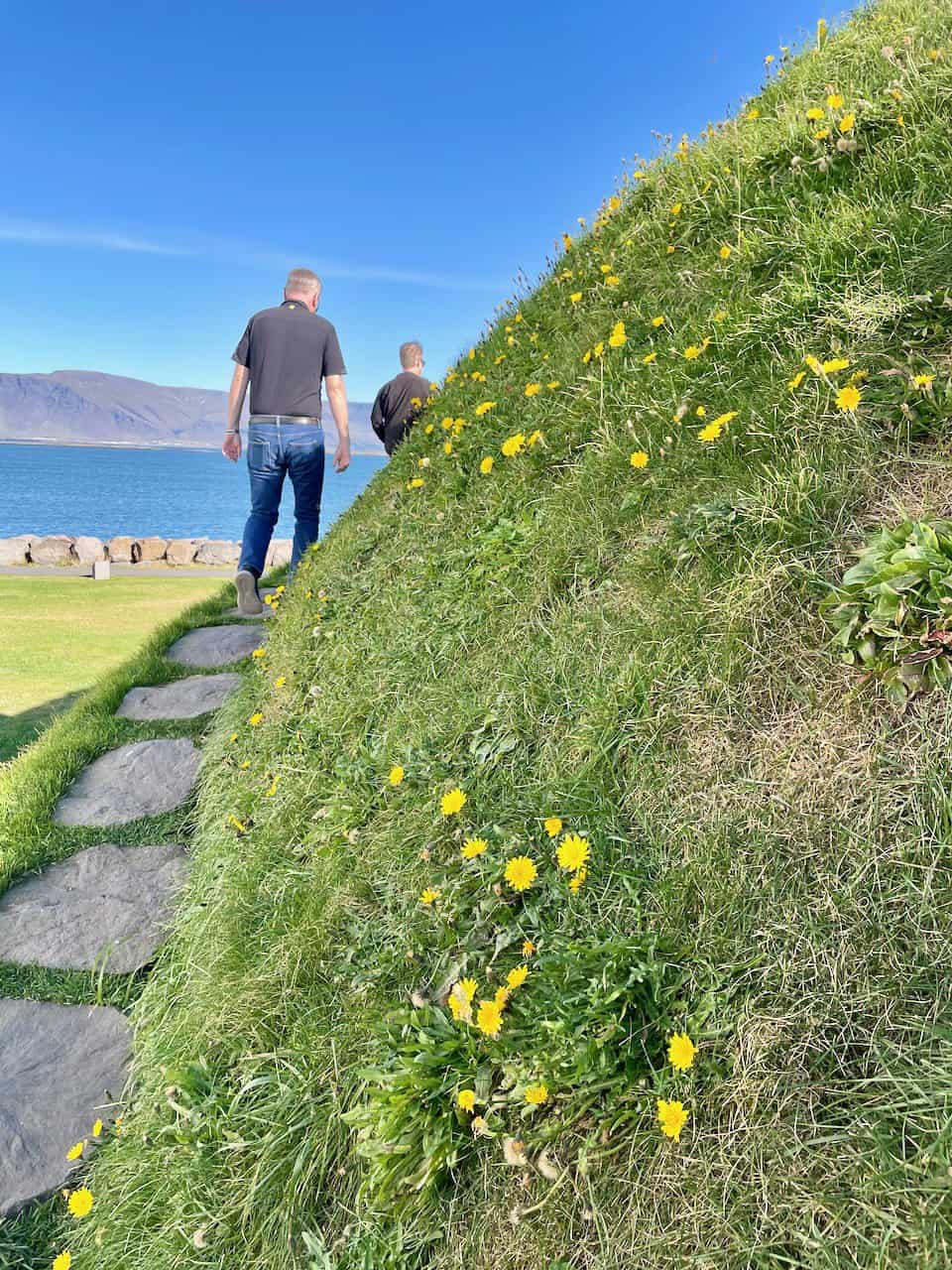 Þúfa Reykjavik
