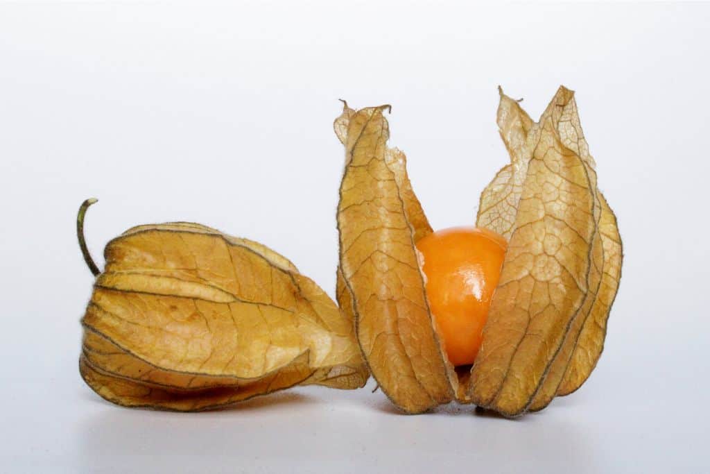 Physalis - exotic fruits pictures and names