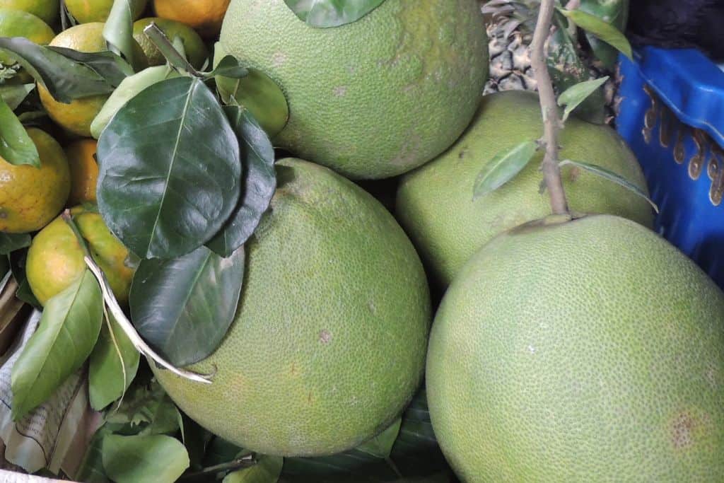 Pomelo - exotic fruits pictures and names