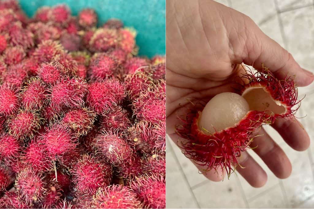 rambutan 