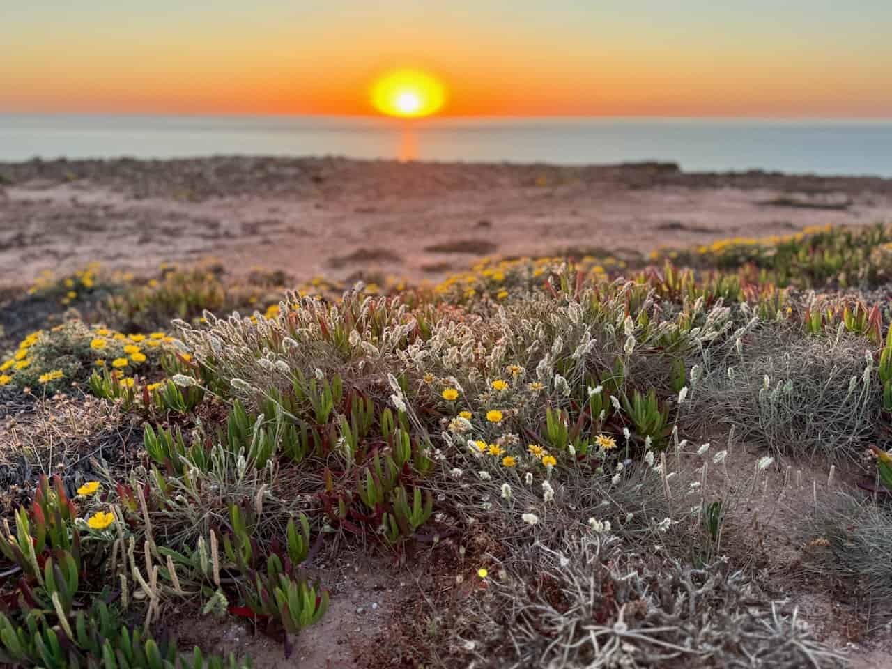 spectacular sunset off Portugal's west coast