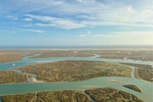 Why You Should Visit Ria Formosa: A Natural Paradise in Portugal’s Algarve