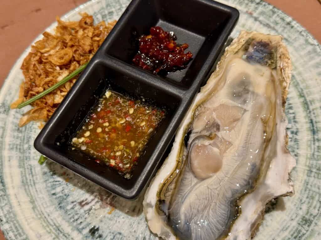 An enormous freshly-shucked oyster
